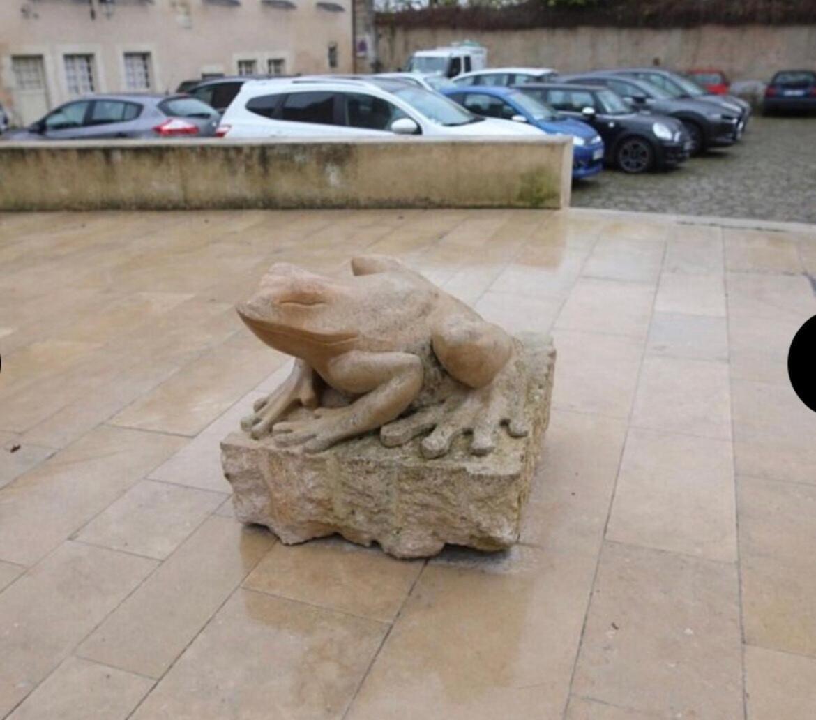 "La Grenouille" Centre Historique - Les Terres Du Roy Villa Avallon Exterior photo